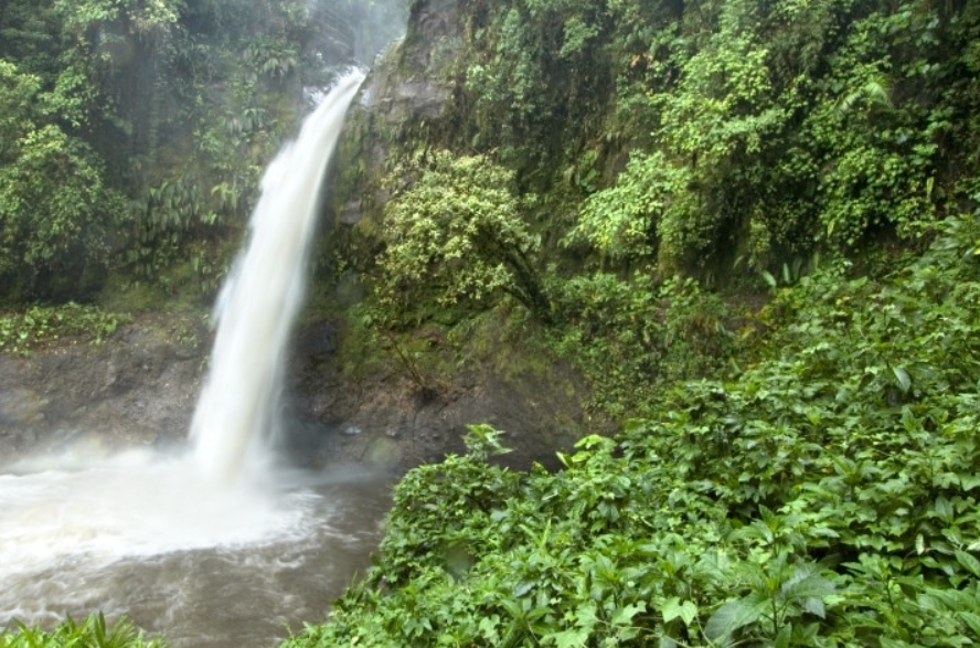 Braulio Carrillo National Park, Near San José/Heredia, Costa Rica